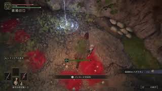ELDEN RING　ガチ初見　王への道