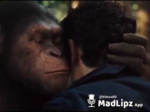 Te pusieron los cachos cabronete