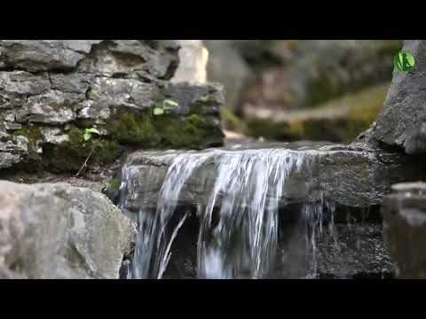 Música para Meditar e Relaxar com Sons de Riacho e Natureza - Acalmar os Pensamentos - NATURE M ZEN
