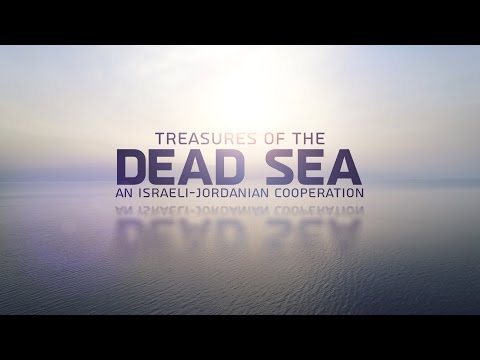 שפע של חיים בים המוות: גלו את הטבע המופלא של אזור ים המלח!