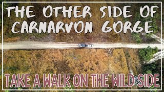 Incredible Carnarvon NP Landscapes | Saving Our Drone | Removing Ticks From Kids