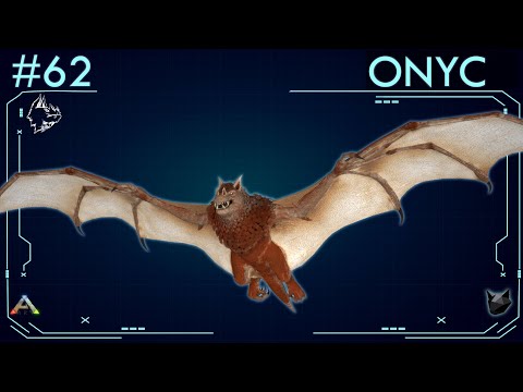 ALL ABOUT ONYC (#62) | ARK: Survival Evolved | The Island Dossiers |
