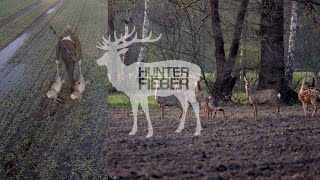 Jagd auf Rehwild bei der Pirsch I FILM VORSPANN I HOD