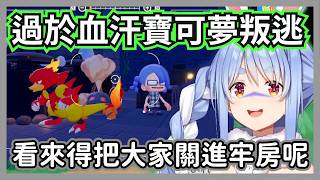 這根本是寶可夢版的帕魯ｗ 佩克拉面對島民叛逃的「屑反應」：通通抓回去工作到死 Peko！【兔田佩克拉】【hololive精華】