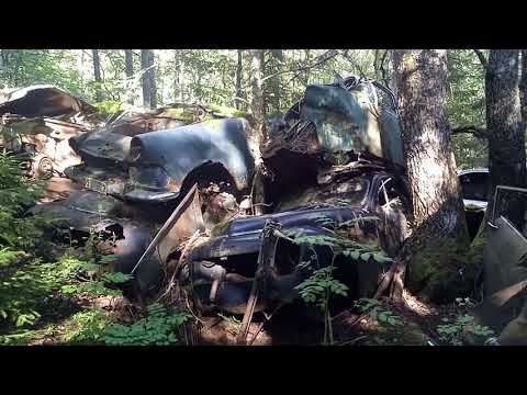 Cmentarzysko porzuconych samochodów w Szwecji