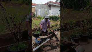 Download lagu cool and trendy motorbike mp3