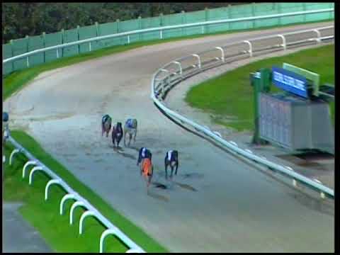 2017 BETFRED ECLIPSE - HEAT 3 - T6 CALICO RANGER