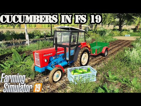 Cucumbers in Farming simulator 19