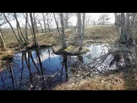 VÄRLDENS MINSTA SJÖ (typ) - Tresjöberget - HÄSTHAGENS FORNBORG - Kallinge - 200415 - HYNDEKULLA