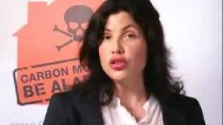 Kirstie Allsopp on carbon monoxide
