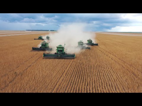 SuperaÌvit do agronegoÌcio em Setembro soma U$ 8,849 bilhoÌƒes de doÌlares 23 10 2021