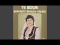 Shyhrete Behluli - Moj E Mir N'ato Lendina