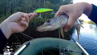 Воблеры jackall squad minnow 95sp