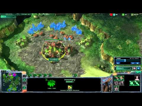 [48] WhiteRa (P) vs Dimaga (Z) G3.avi