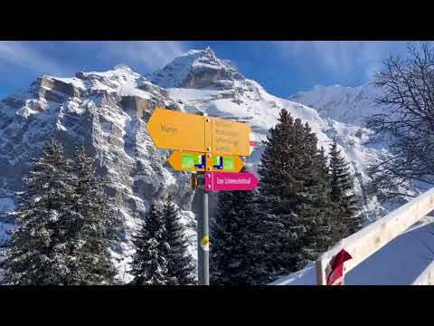 🇨🇭 4K Relaxing Winter Walk - The Jungfrau Region in Mürren, Switzerland