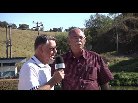 OURO FINO BOLETIM DA SEMANA 278 - 26 DE AGOSTO DE 2015