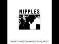 "Nipples" - Peter Brötzmann (Full Album)