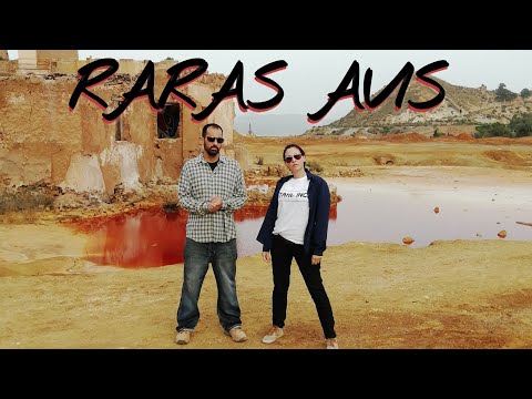 Stahl Inc. - Raras Avis (Videoclip)