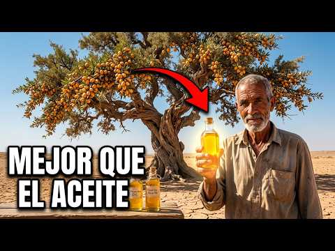 Mejor Que el Aceite de Oliva. Dura 10 Años Sin Nevera — ¿Por Qué Fue Olvidado?