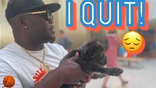 I Quit Breeding French Bulldogs | Im Selling All My Dogs 😔