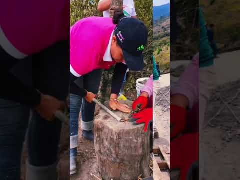 🎥✨ Construcción de placahuellas con pavimento para vías terciarias en La Salina ✨🎥