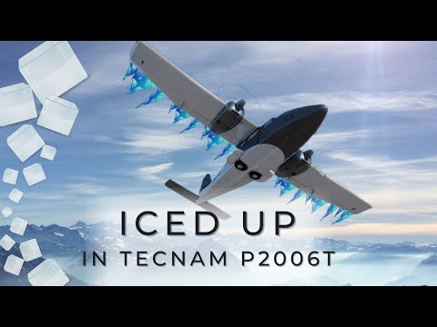 NEW Tecnam P2006T| Ferry Flight Review Who likes TECNAM P2006T Aircraft? | Review and flight