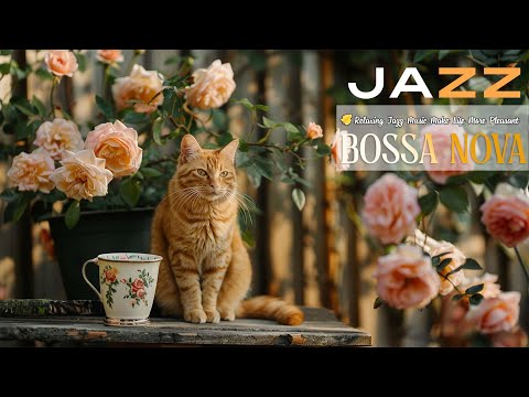 Morning relaxing Jazz coffee ☕ Sweet Bossa Nova Piano for a Great Mood
