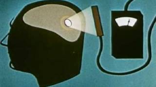 'come on and be happy' - brian jonestown massacre