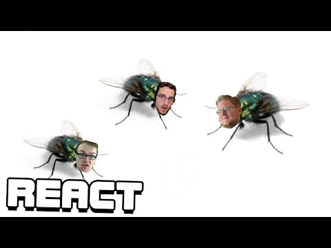 React: Fliegenbrain Pietsmiet
