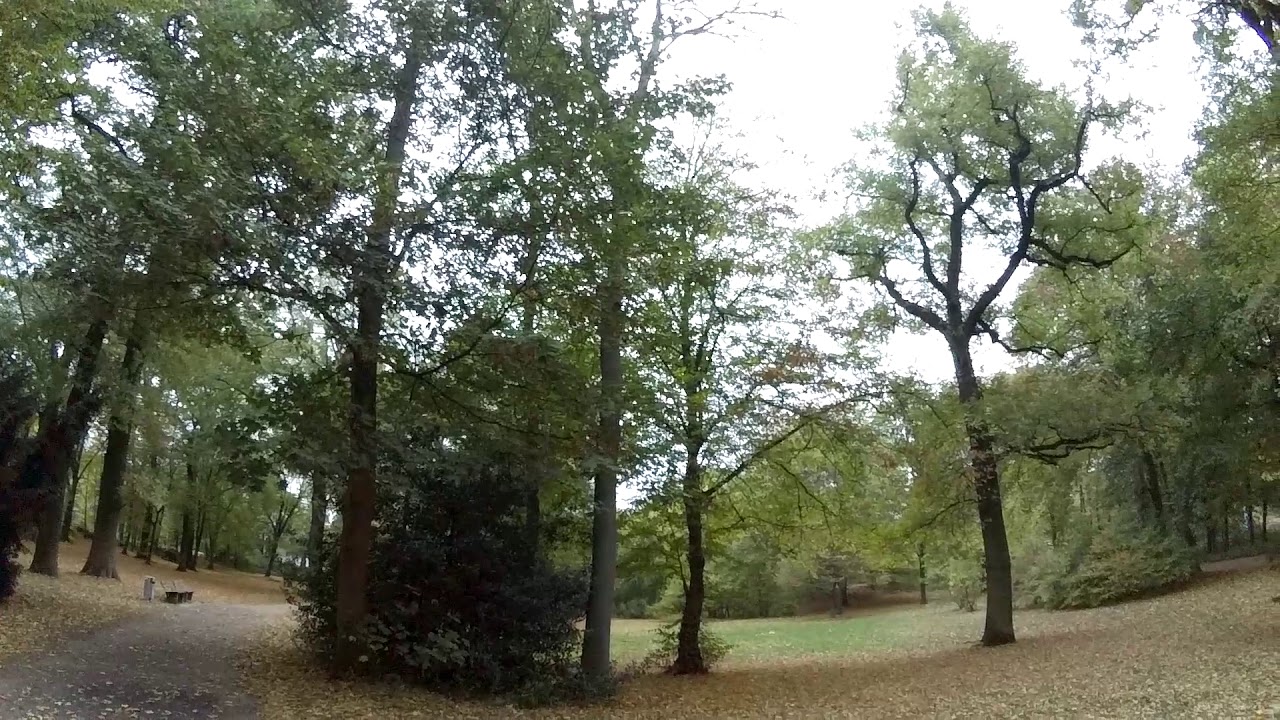 Youtube Video Preview