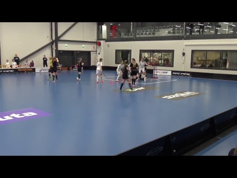 BTSM Koovee vs. BlueFox, 14.01.18 AutoCenter Areena, Tampere