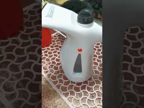 Handheld Garment Facial Steamer
