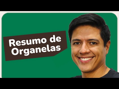 Cytoplasmic Organelles - Cytology - Biology with Professor Kennedy Ramos