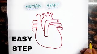 How to Draw Human Heart Diagram step by step in Hindi