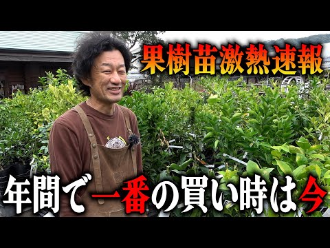 粘土質の土壌に植える果樹はどれですか?いつ、どのように植えるのですか？  庭園