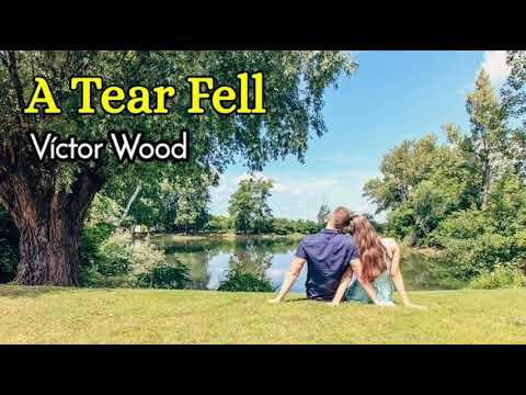 A Tear Fell - Víctor Wood lyrics