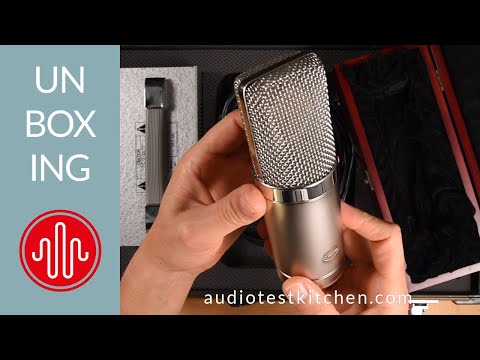Peluso Microphones P-49 2010s Nickel image 23