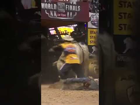 Ben Jones Gets Knocked Out By Sheep Creek