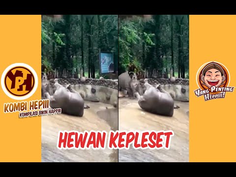 kombi-heppiii-hewan-kepleset