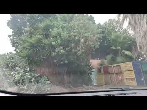 # 82 rodando por las calles de Tenerife islas canarias