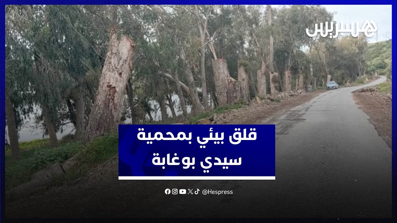 محمية سيدي بوغابة تحت التهديد.. قطع الأشجار يثير استياء المواطنين thumbnail