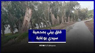 محمية سيدي بوغابة تحت التهديد.. قطع الأشجار يثير استياء المواطنين thumbnail