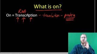 Gene Expression