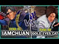 KOF XV IamChuan Heidern Kula Krohnen Vs Gold Eyes Cat Kyo Chris Ash Steam