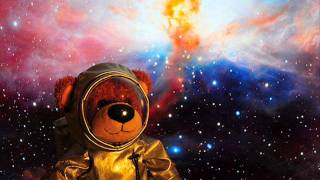 Teddybears Tek It Down.wmv