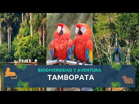 Recomendaciones