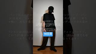 ちゃんと毎日ユニクロ・GU購入品着ている男🔥【リネンブレンドイージーパンツ丈長め・UNIQLO and Cecilie Bahnsen グラフィックT】#014