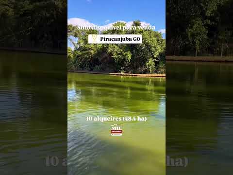 SÍTIO À VENDA – PIRACANJUBA, GO - 10 alqueires (48,4 ha) #sitio #chacaraavenda #agro