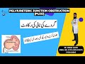 Pelviureteric Junction Obstruction (PUJO) ||    گردے کی نالی کی رکاوٹ