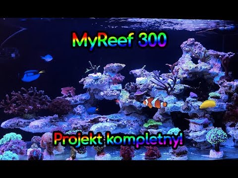 (113) MyReef 300 / Przenosiny zakończone - Akwarium morskie - Reef aquarium